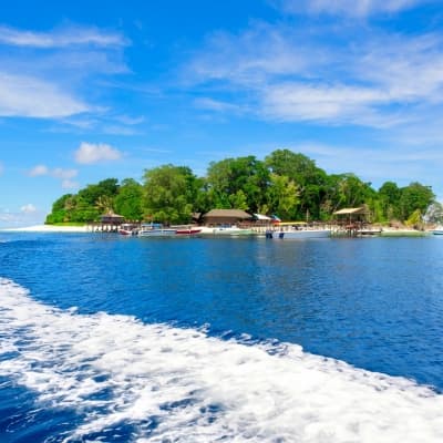 Excursion en bateau sur l’île de Pulau Dayang Bunting