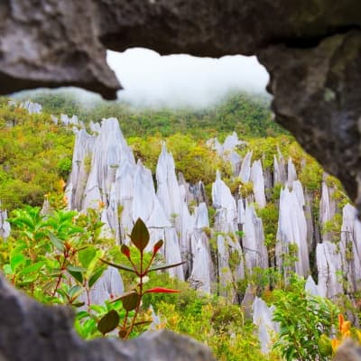 Visite des grottes de Mulu